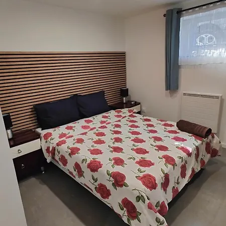 Apartament Bel F2 Entierement Renove Sélestat