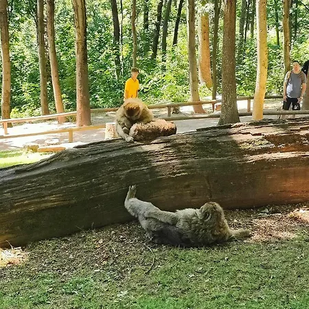 Bel F2 Entierement Renove *